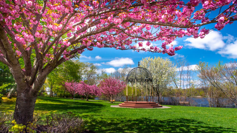 Ell Pond gazebo and spring blossoms in Melrose Massachusetts